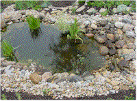 wg1.gif (16566 bytes)