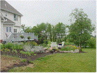 wg10.gif (14499 bytes)