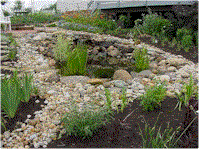 wg18.gif (16667 bytes)