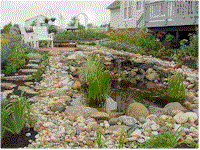 wg19.gif (16807 bytes)