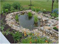 wg2.gif (16609 bytes)