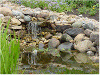 wg20.gif (17666 bytes)