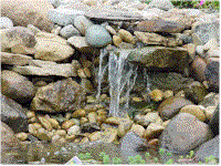 wg24.gif (17066 bytes)