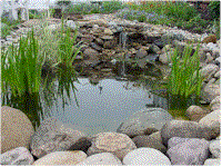 wg25.gif (16754 bytes)