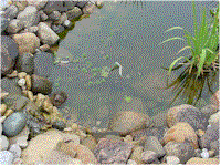 wg26.gif (15821 bytes)