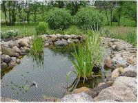 wg4.gif (16324 bytes)