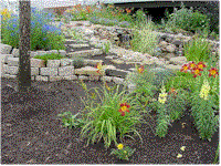 wg5.gif (17083 bytes)