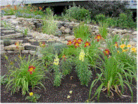 wg6.gif (17401 bytes)