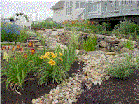 wg7.gif (16788 bytes)